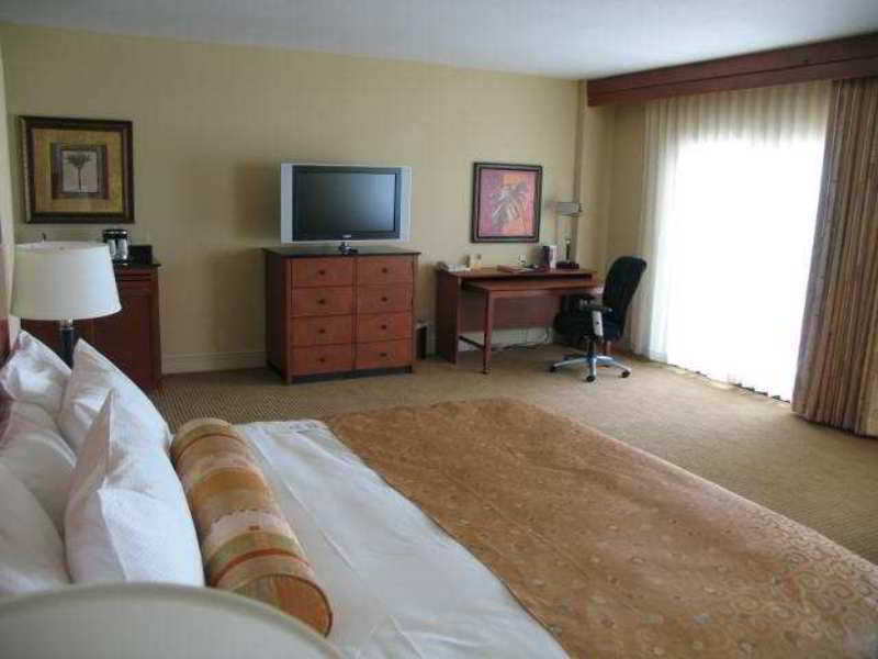 Hilton St. Petersburg Carillon Park Hotel Room photo